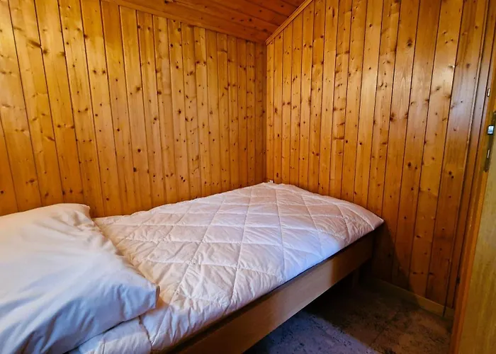 Domek alpejski Lu Verzache 5 Personnes *